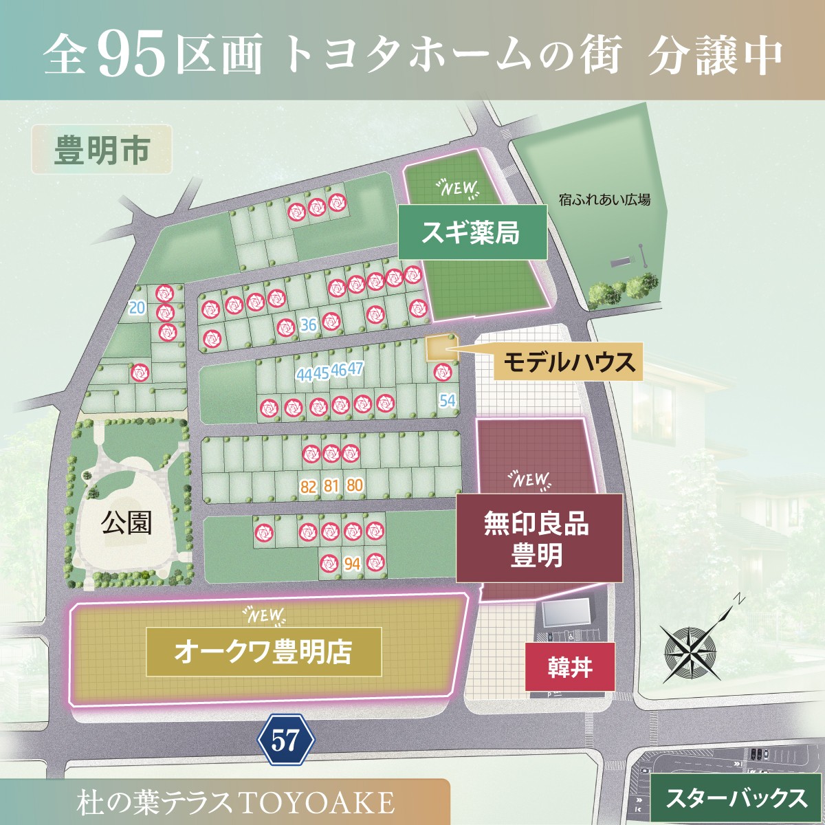 区画情報