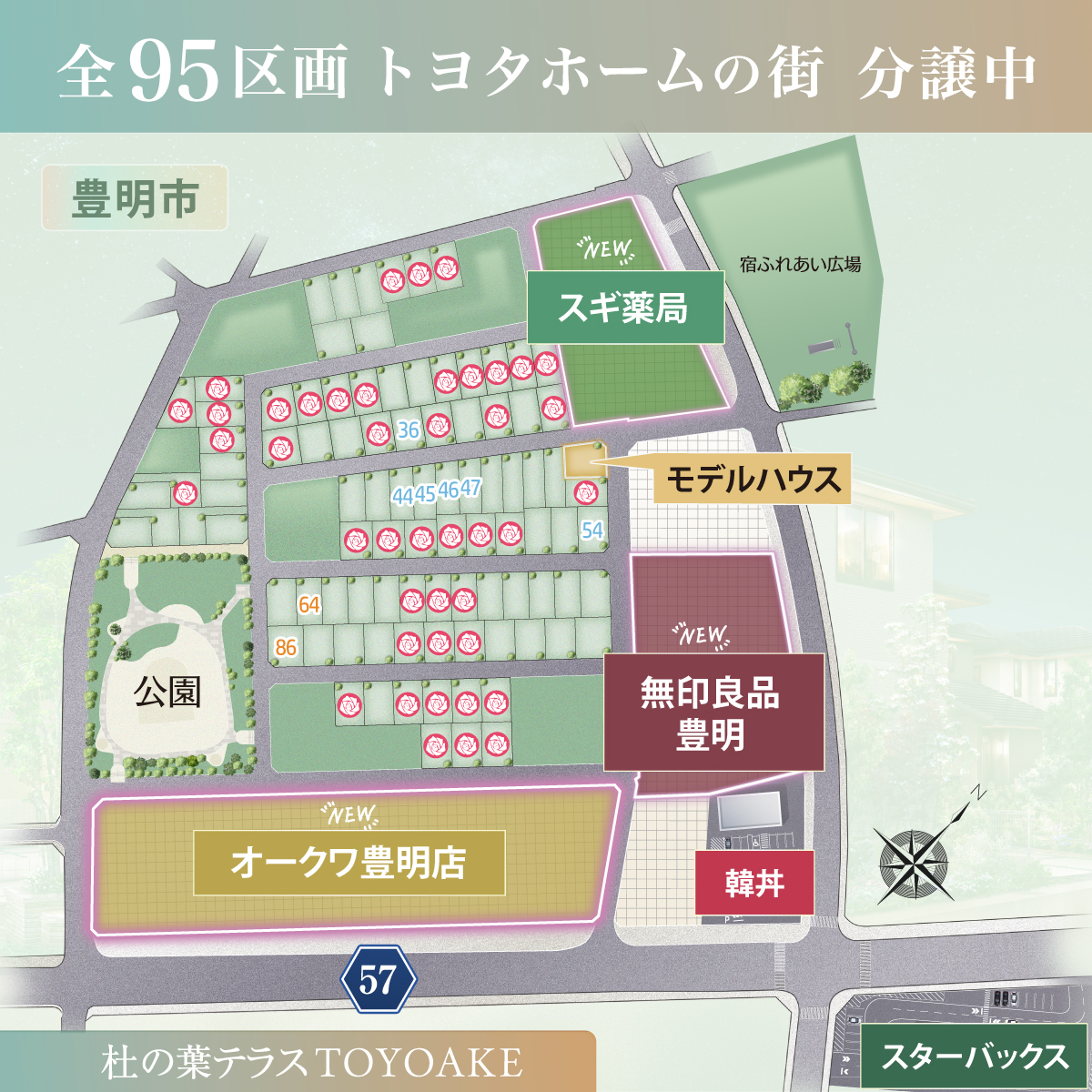 区画情報
