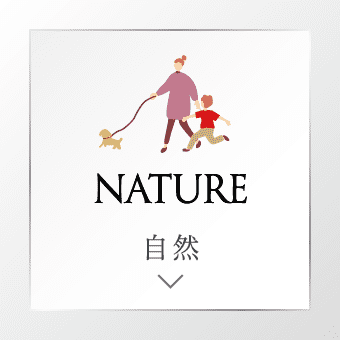 NATURE 自然