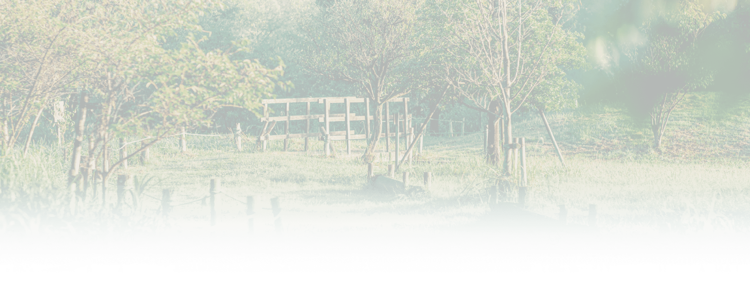 初音川ビオトープ