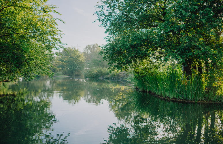 初音川ビオトープ