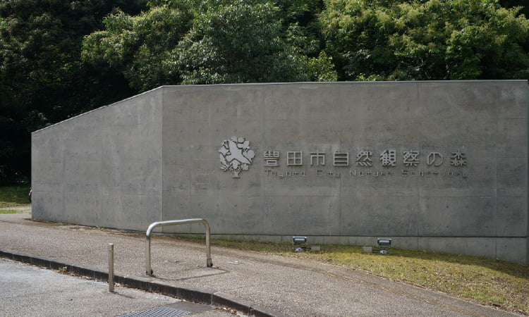 image photo