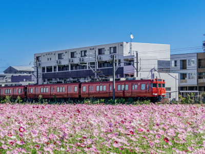 豊田南部・知立・刈谷エリア