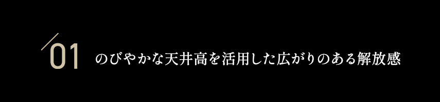 01 のびやかな天井高を利用した広がりのある開放感