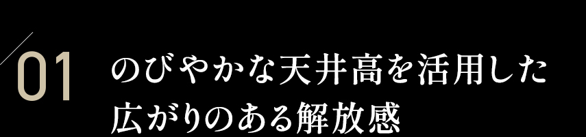 01 のびやかな天井高を利用した広がりのある開放感