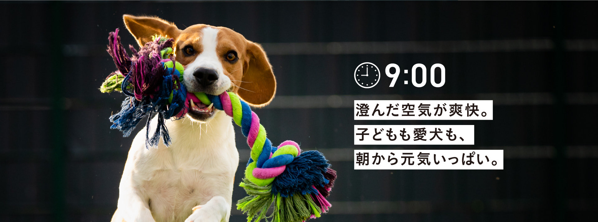 9:00 澄んだ空気が爽快。
        子どもも愛犬も、
        朝から元気いっぱい。