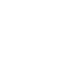 TOYOTA SHIGO REGALIA PROJECT