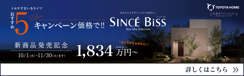 シンセ・ビス おすすめ5プランキャンペーン